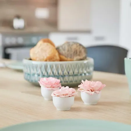 Gluecksferien- Gaensebluemchen Apartment *