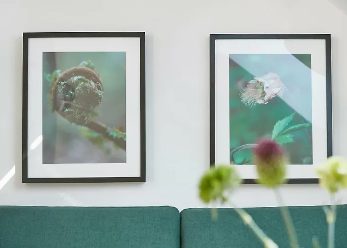 Appartement Gluecksferien- Gaensebluemchen *